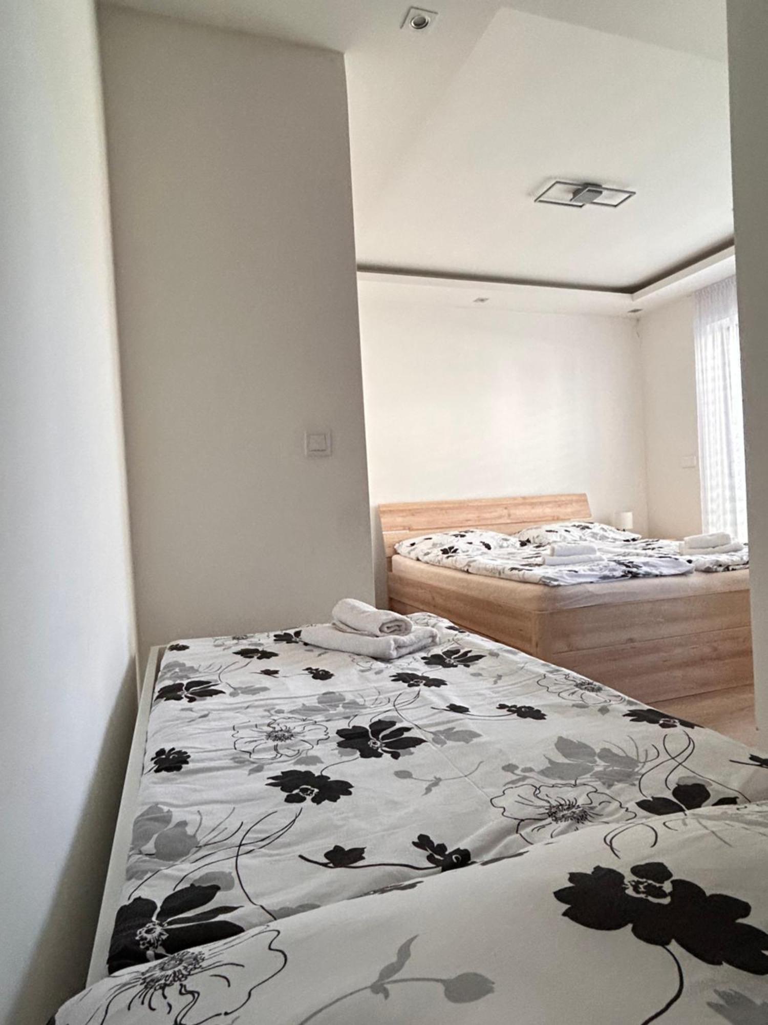 Villa Alex فيلكا لومنيكا المظهر الخارجي الصورة